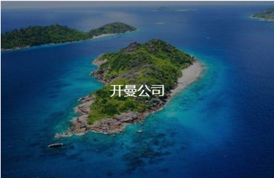 如何尽快完成注册外资公司的所有流程