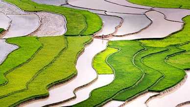 招商策略：关注“十四五”农业农村发展规划重点领域