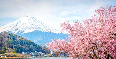 在日本开公司，你真的懂吗？  